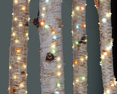 100 Silver Multi Outdoor Christmas Wire Lights 100 Silver Multi Outdoor Christmas Wire Lights